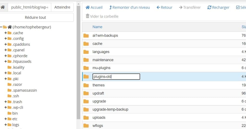 Renommez le dossier plugins en plugins_old