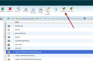 Comment extraire une archive dans le gestionnaire de fichier dans cPanel