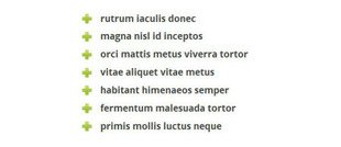 liste à puces wordpress avec image background