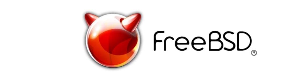 Serveur Dédié Linux utilisant FreeBSD Distro